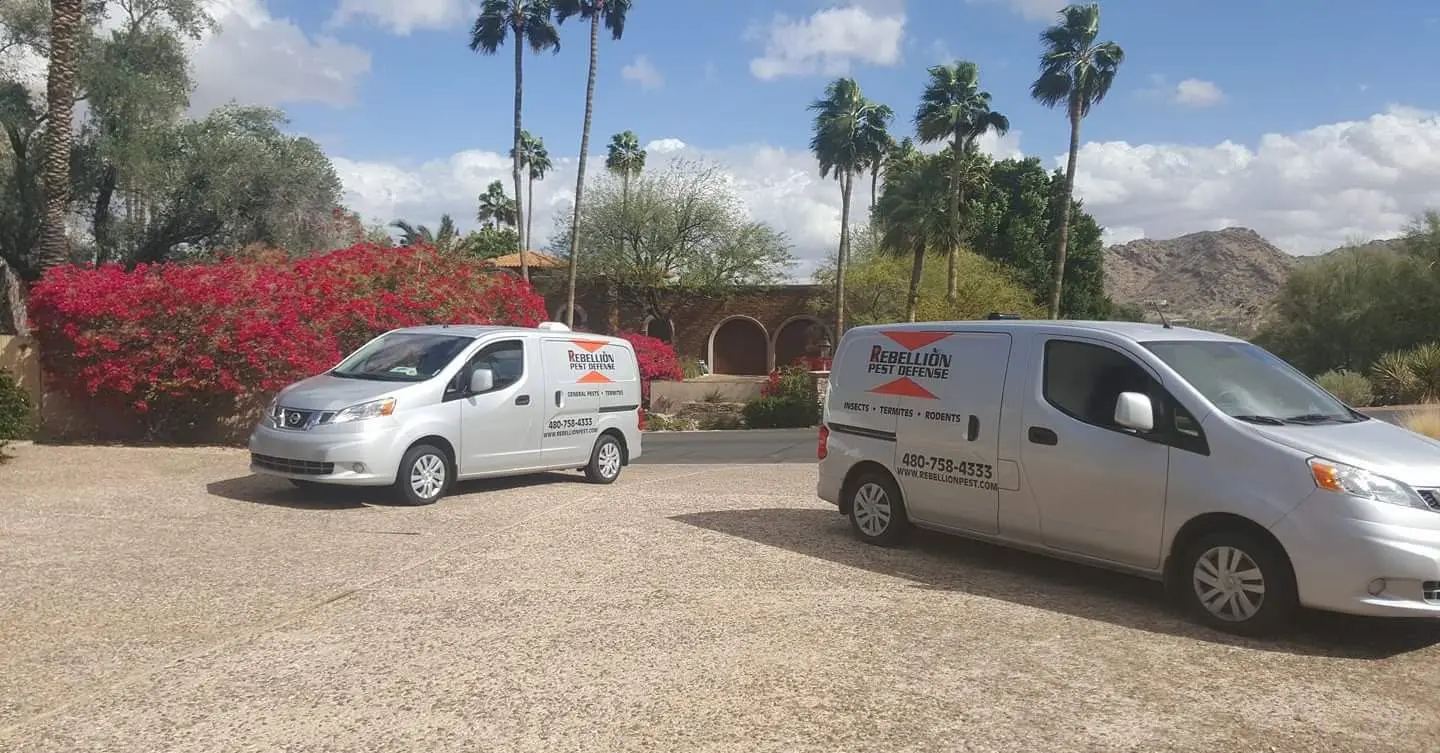 Rebellion Pest Defense vans parked at a Phoenix, AZ home for a termite extermination service call